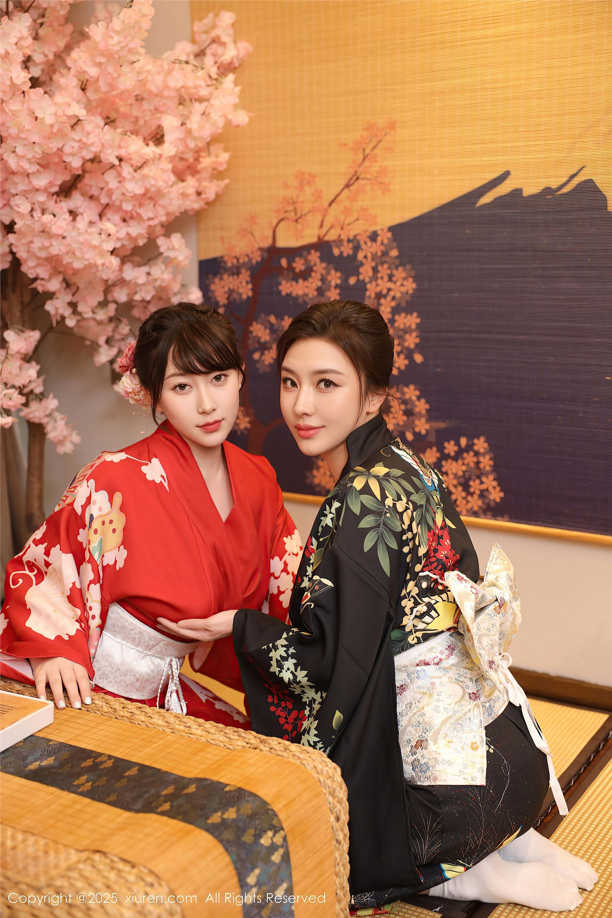 Xiuren秀人网 2025.08.07 NO.10627 苏一诺